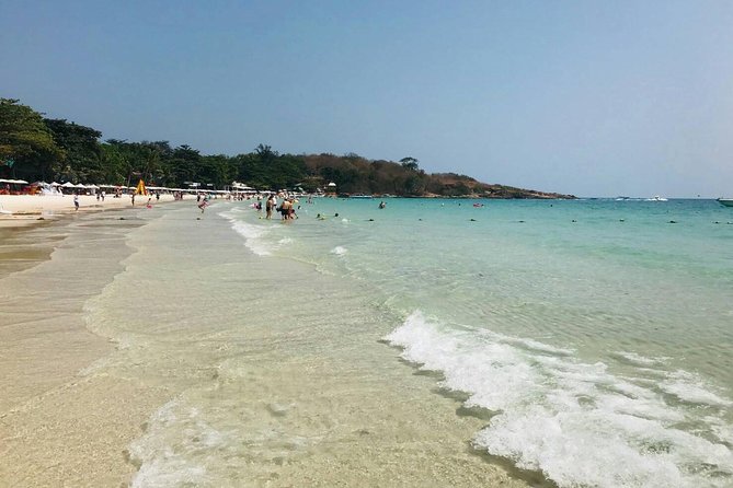 Pattaya : Coral Island Tour by Speedboat with Indian Lunch & Pick Up from Hotel - Pickup from Pattaya and the start at 9:30