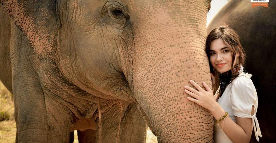 Pattaya: Elephant Jungle Sanctuary Feeding Experience - Key points to know before you go
