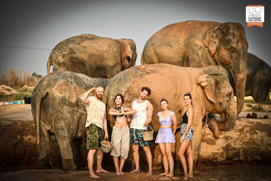 Pattaya: Elephant Jungle Sanctuary Feeding Experience - What this elephant visit is really about