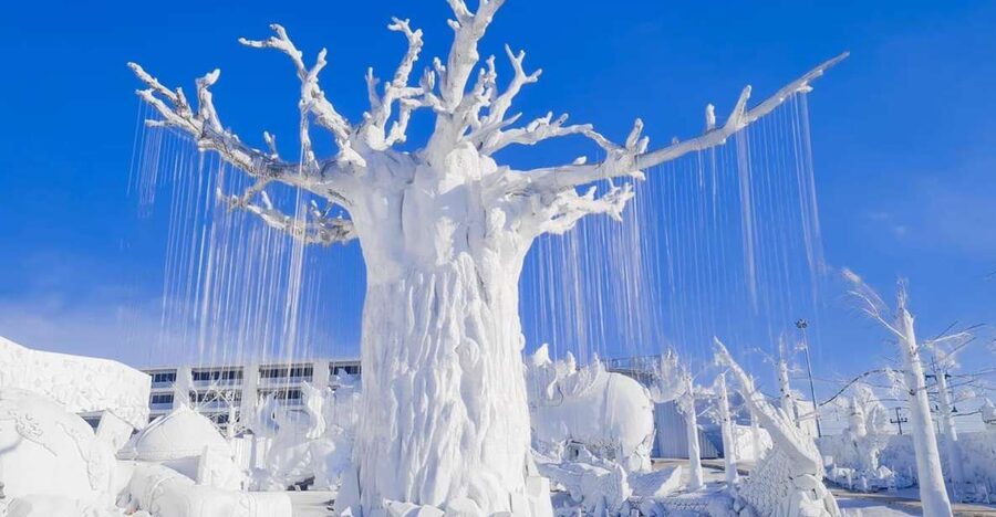 Pattaya: Frost Magical Ice of Siam Entry Ticket - Key points to know before you go
