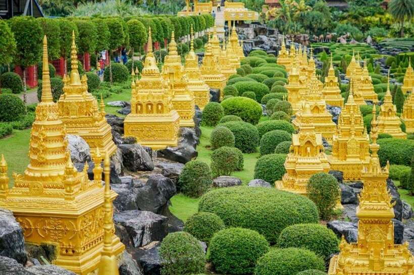 Pattaya: Nong Nooch Tropical Garden Ticket for Foreigners - Why the Cycad Gene Bank Matters