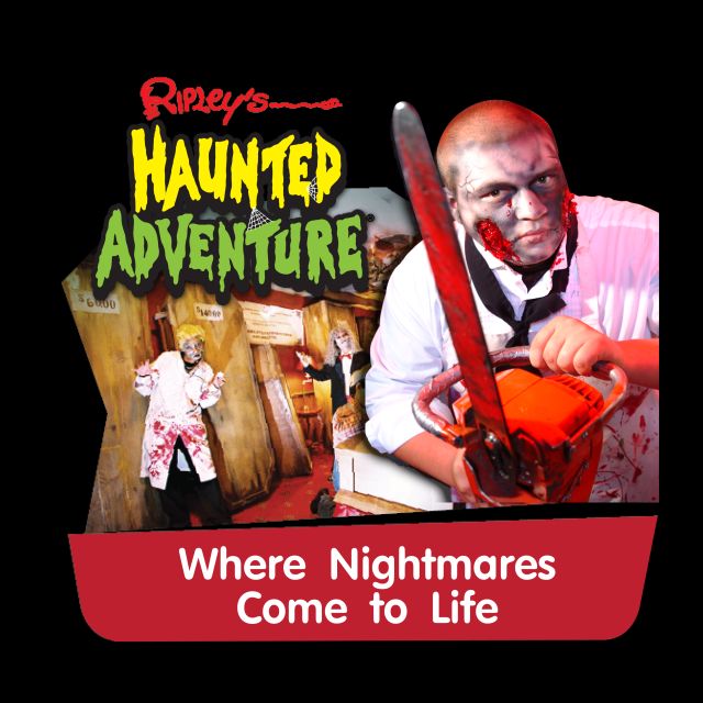 Pattaya: Ripley’s Believe It or Not! Entry Ticket - What Ripley’s Pattaya Is Really Like