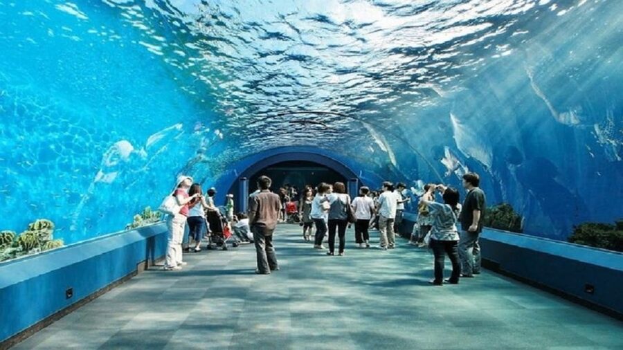 Pattaya: Underwater World Pattaya Aquarium Admission Ticket - The ticket warning you should take seriously