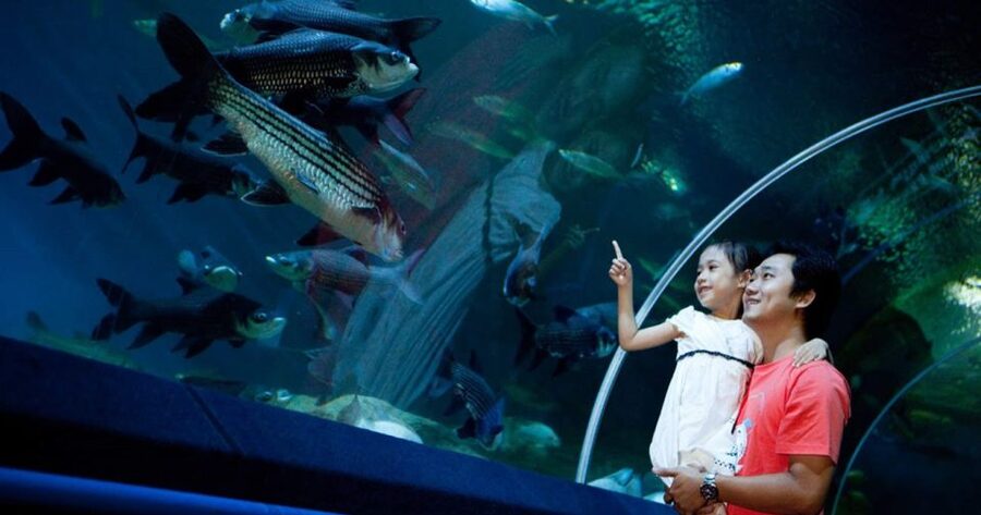 Pattaya: Underwater World Pattaya Aquarium Admission Ticket - Coral Reef Zone: color and small-scale sea life