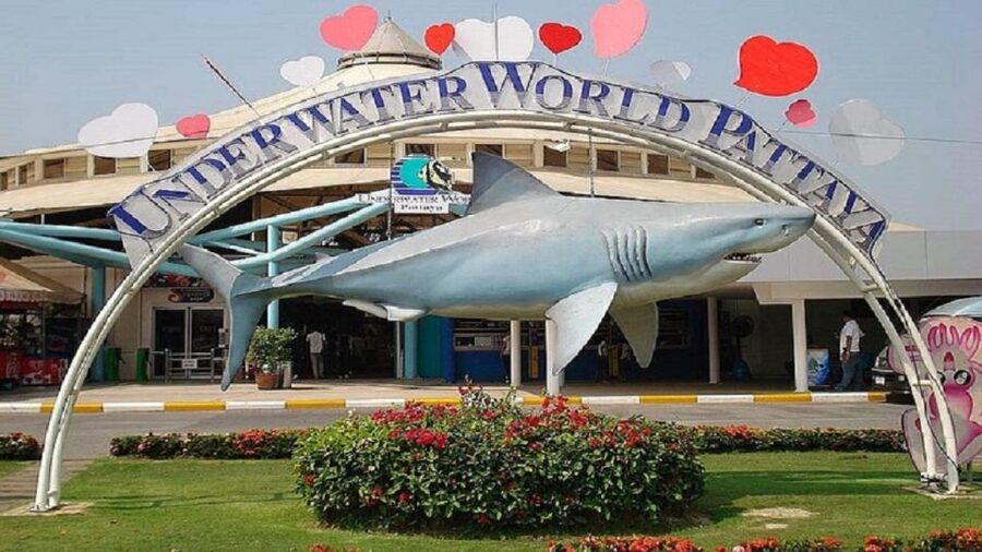 Pattaya: Underwater World Pattaya Aquarium Admission Ticket - Shark and Stingray Zone: the biggest thrill