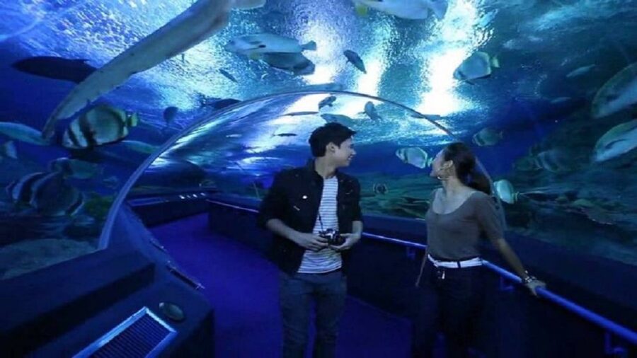 Pattaya: Underwater World Pattaya Aquarium Admission Ticket - Touch Pool Zone: the best choice for children