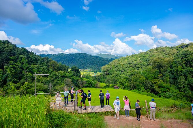 Pha Dok Siew Nature Trail & Doi Inthanon National Park From Chiang Mai - What makes this day trip worth considering