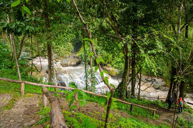 Pha Dok Siew Nature Trail & Doi Inthanon National Park From Chiang Mai - Wachirathan Falls and the sound of rushing water