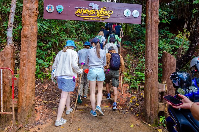 Pha Dok Siew Nature Trail & Doi Inthanon National Park From Chiang Mai - The two-hour Pha Dok Siew walk