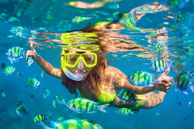 Phi Phi and Khai Islands Snorkeling Tour with Lunch by Speedboat - Phi Phi Leh: dramatic cliffs from the water