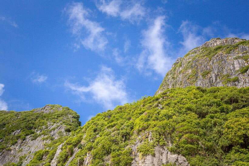 Phi Phi Half Day or Full Day by Longtail to Maya and Bamboo - Bamboo Island gives the full-day trip more breathing room