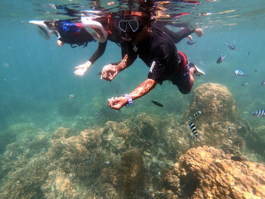 Phi Phi: Half-Day Phi Phi Snorkeling Trip by Longtail Boat - Maya Bay: famous, fragile, and tightly managed