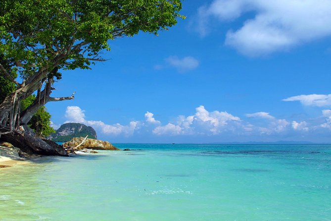 Phi Phi & Maya Bay Speedboat: All-Day Food & Choice of 3 Marinas - Snorkeling, swimming, and optional beach activities