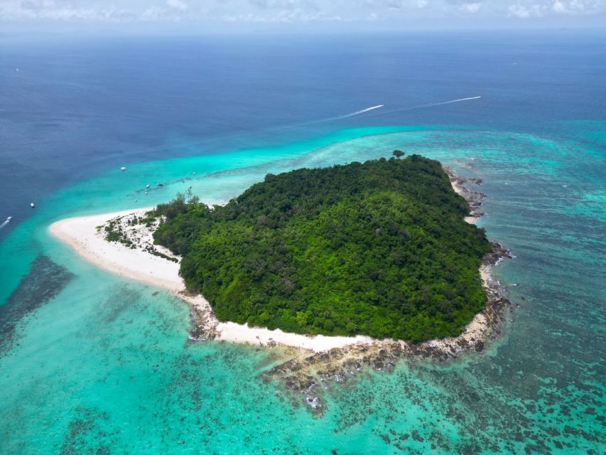 Phi Phi: Morning Speedboat Tour to Maya Bay with Snorkel - Snorkeling with reef fish and blacktip sharks