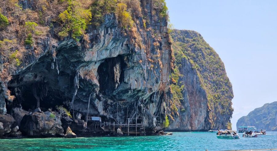 Phi Phi: Morning Speedboat Tour to Maya Bay with Snorkel - Price, timing, and the overnight requirement