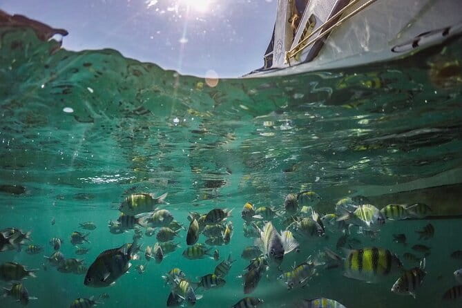 Phi Phi with Maya and Bamboo Island Day Trip by Speedboat - Guides, crew, and the shared-boat atmosphere