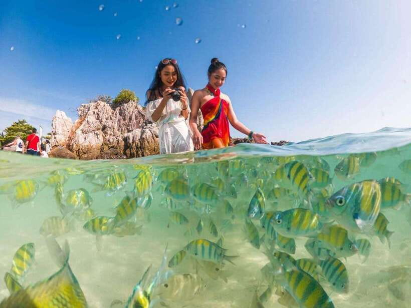 Phuket: 3 Khai Islands Snorkeling Tour - Khai Nai: Cats, Sand, and the First Swim