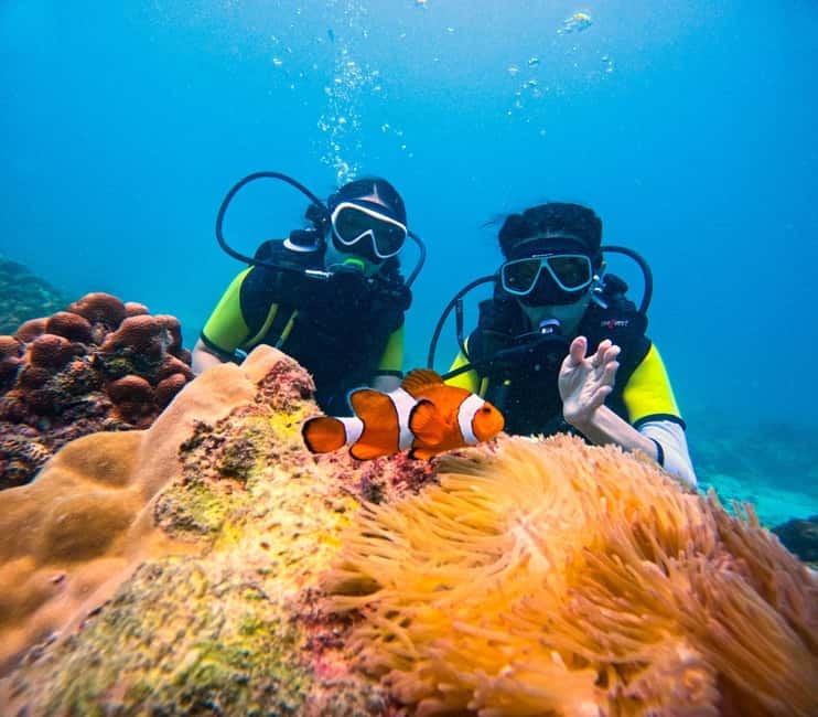 Phuket: 3 Khai Islands Speedboat Tour- Snorkeling & Relaxing - Quick facts worth knowing