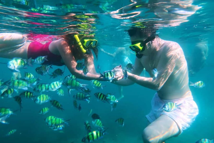 Phuket: 3 Khai Islands Speedboat Tour- Snorkeling & Relaxing - What the $26 price really covers