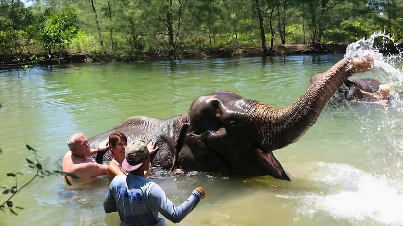Phuket: Bamboo Rafting & ATV Ride (Optional) - Sea turtles at the conservation center