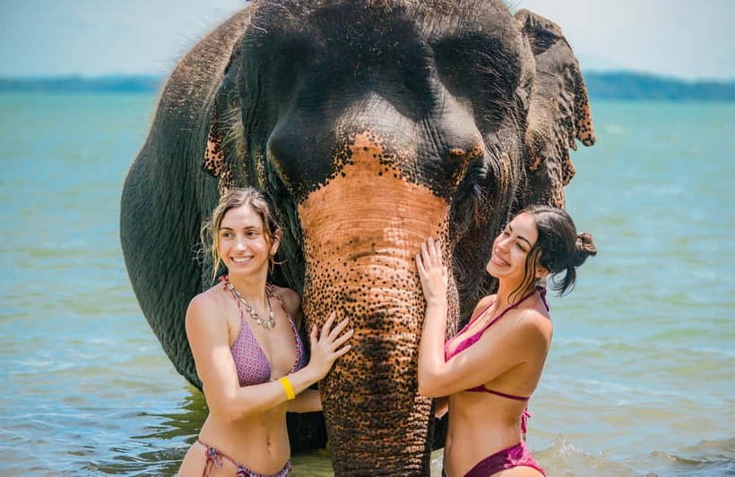 Phuket:Beach walk with elephants, rain & care. 2.5 hours - Key points before you book