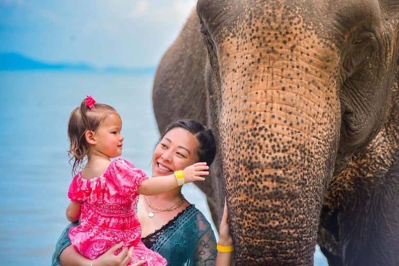 Phuket:Beach walk with elephants, rain & care. 2.5 hours - Arriving at a 20-acre coastal sanctuary