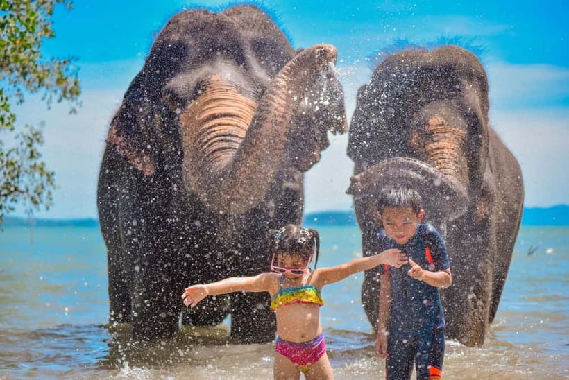 Phuket:Beach walk with elephants, rain & care. 2.5 hours - The 15-minute walk through nature