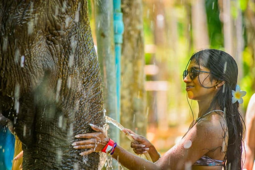 Phuket:Beach walk with elephants, rain & care. 2.5 hours - Bathing and brushing beside the sea