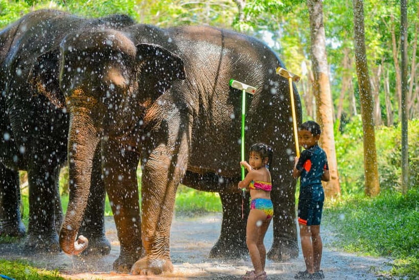 Phuket:Beach walk with elephants, rain & care. 2.5 hours - Making vitamin balls for elephant care