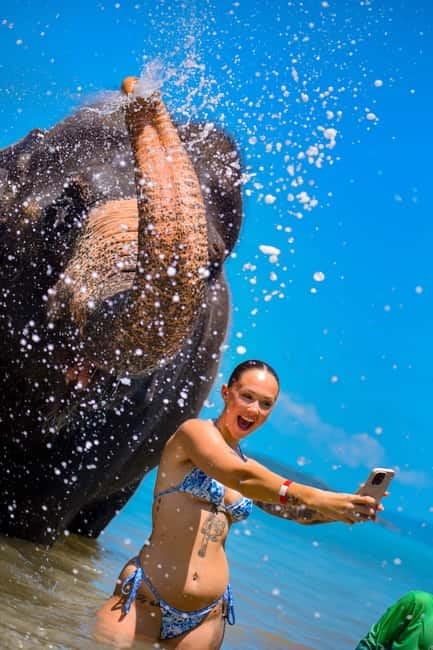 Phuket:Beach walk with elephants, rain & care. 2.5 hours - How much time do you really need?