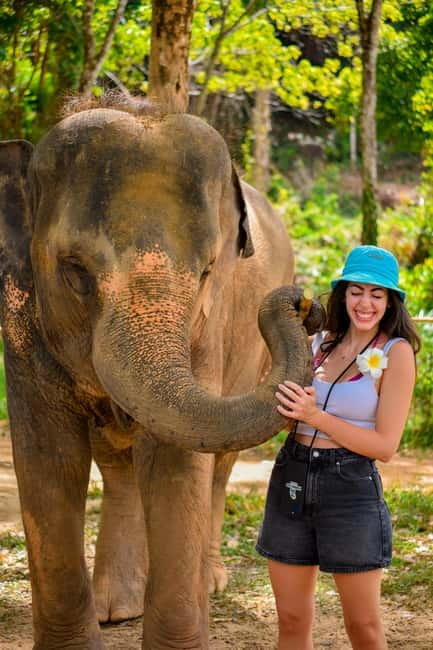 Phuket:Beach walk with elephants, rain & care. 2.5 hours - Group size, photos, and practical comfort