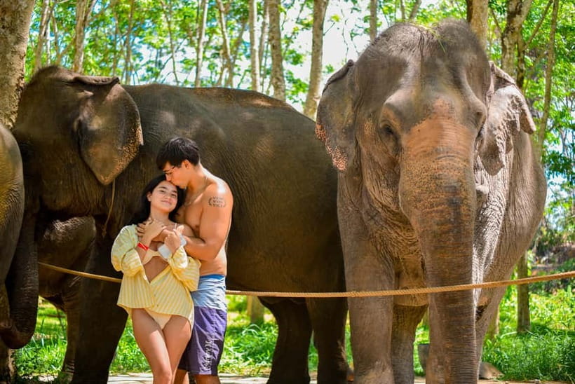 Phuket:Beach walk with elephants, rain & care. 2.5 hours - Feeding the elephants and learning their stories