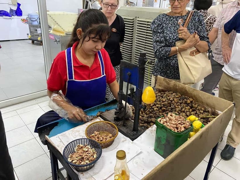 Phuket City Tour with Night Market Visit & Elephant Feeding - Why this six-hour route works