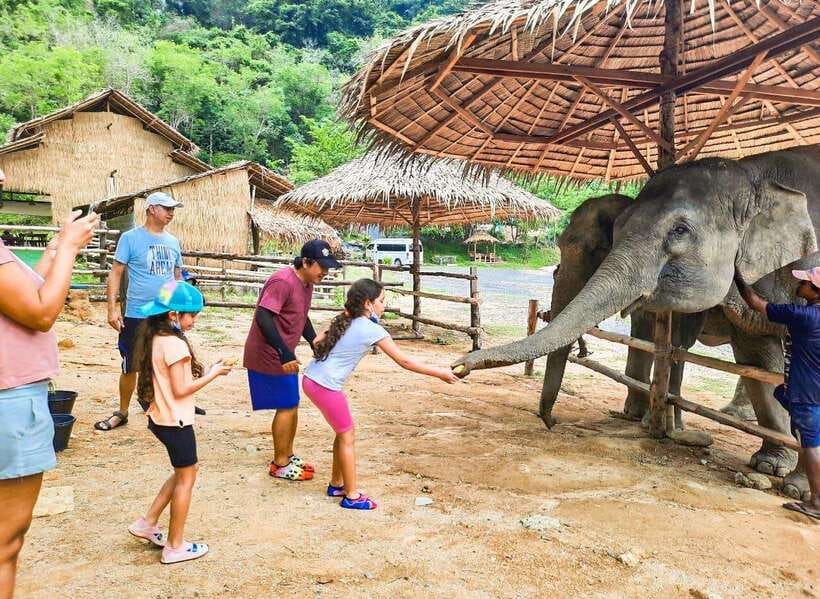 Phuket City Tour with Viewpoints, Temples & Elephant Feeding - What the $48 price really covers
