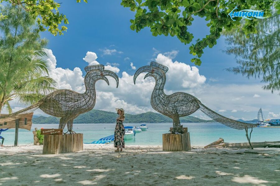 Phuket: Coral Island Day Tour by Speedboat - Five hours on Coral Island
