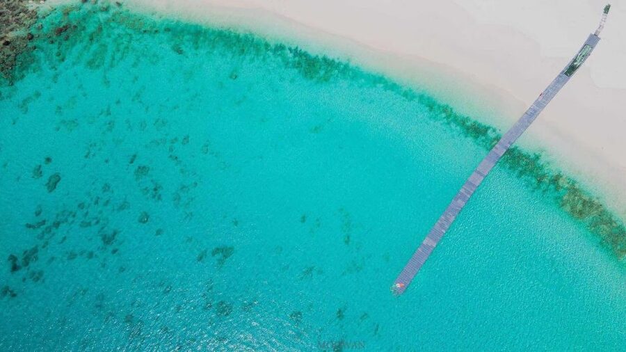 Phuket: Coral & Racha Islands Day Trip By Speedboat - Who should book this tour?