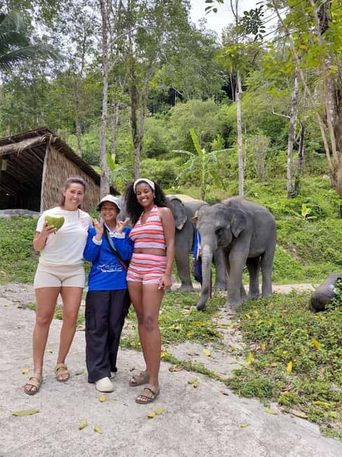 Phuket: Eco Guided Tour at Elephant Sanctuary - Key points to know before you book