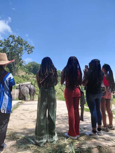 Phuket: Eco Guided Tour at Elephant Sanctuary - Why this Phuket elephant visit feels different