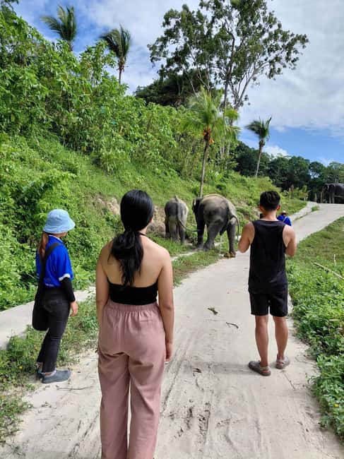 Phuket: Eco Guided Tour at Elephant Sanctuary - The opening briefing sets the tone