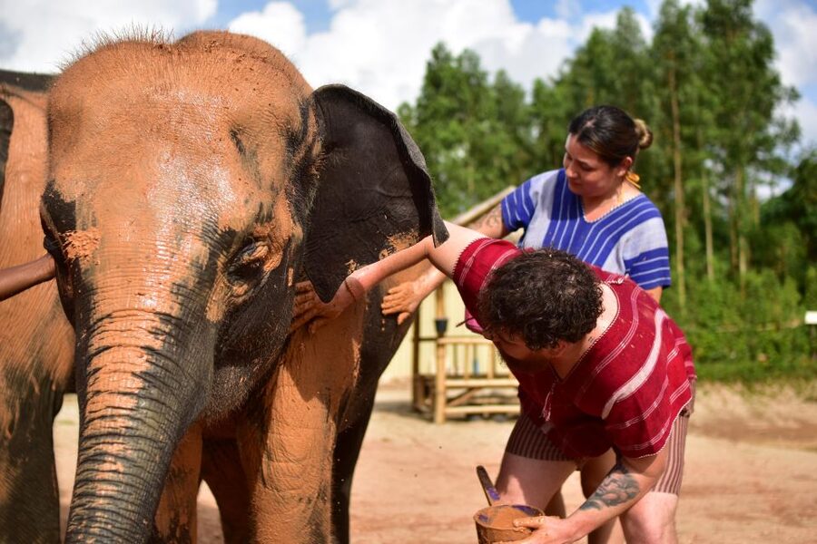 Phuket: Elephant Experience with Lunch or Dinner and Pickup - What to pack for the mud and jungle