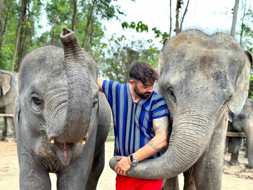 Phuket: Elephant Experience with Lunch or Dinner and Pickup - Meeting elephants at Kerchor Elephant Family Park