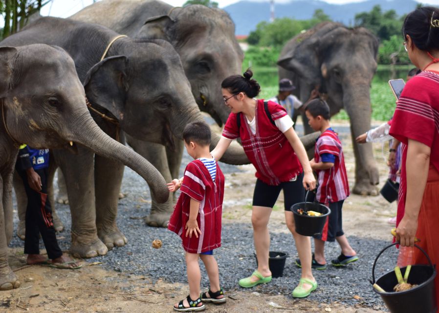 Phuket: Elephant Experience with Lunch or Dinner and Pickup - Thai buffet lunch or dinner