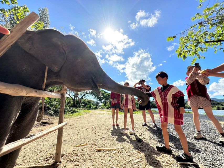 Phuket: Elephant Experience with Lunch or Dinner and Pickup - Making tie-dye with Karen techniques