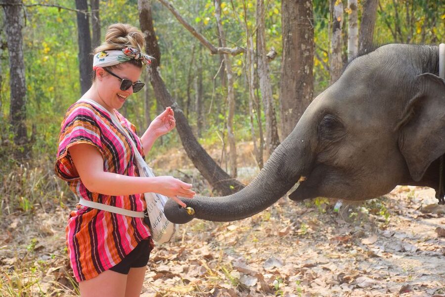 Phuket: Elephant Feeding Program - Five things to know before you go