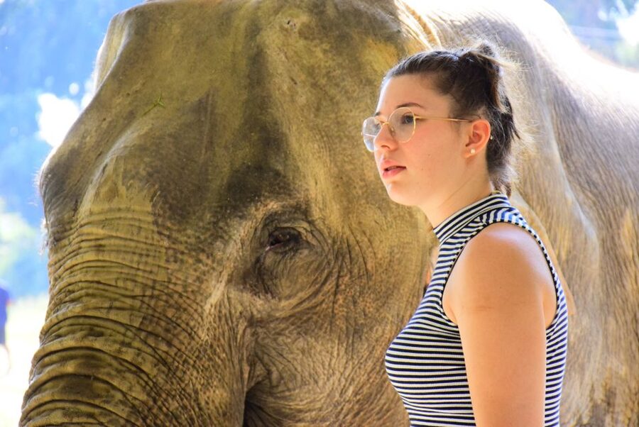 Phuket: Elephant Feeding Program - Arriving at Green Elephant Sanctuary Park