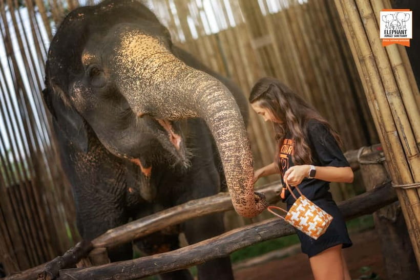 Phuket: Elephant Jungle Sanctuary Ethical Feeding Experience - Booking, cancellations, and what to pack