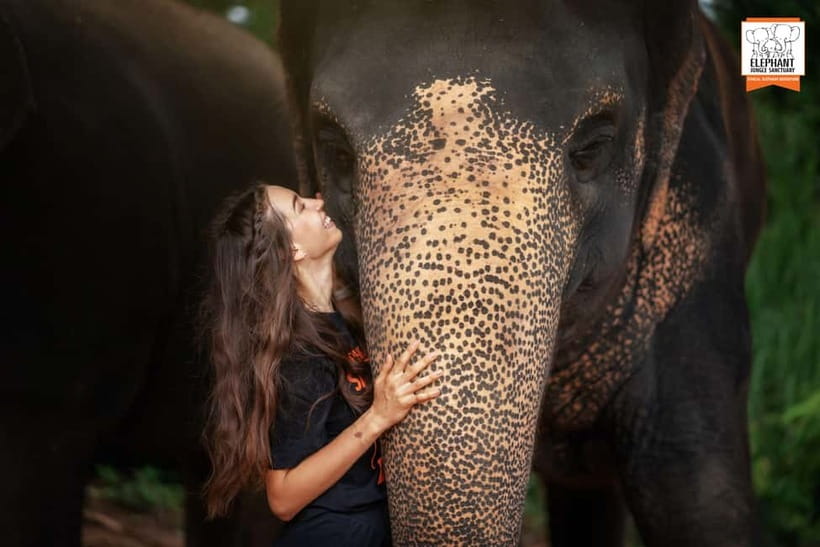 Phuket: Elephant Jungle Sanctuary Ethical Feeding Experience - Getting there and choosing your time