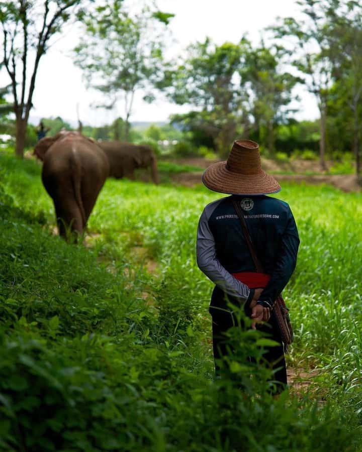 Phuket: Elephant Nature Reserve Entry Ticket and Guided Tour - Preparing food in the elephant kitchen