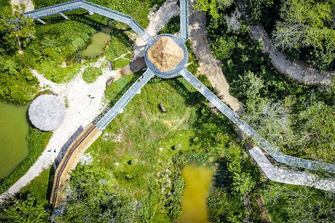 Phuket Elephant Sanctuary Canopy Walkway Tour - Refreshments, Snacks, and the Free Souvenir