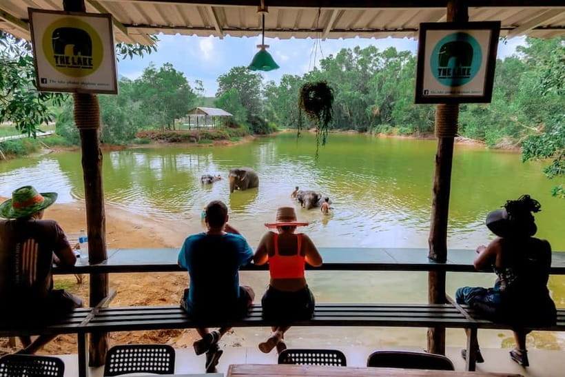 Phuket: Elephant Sanctuary Feed and Bathe Gentle Giants - Who will enjoy this sanctuary visit most